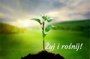 Sesja tematyczna